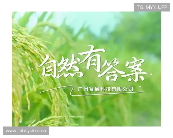 南宫ng娱乐app下载安全保障措施介绍，保障用户个人信息与资金安全